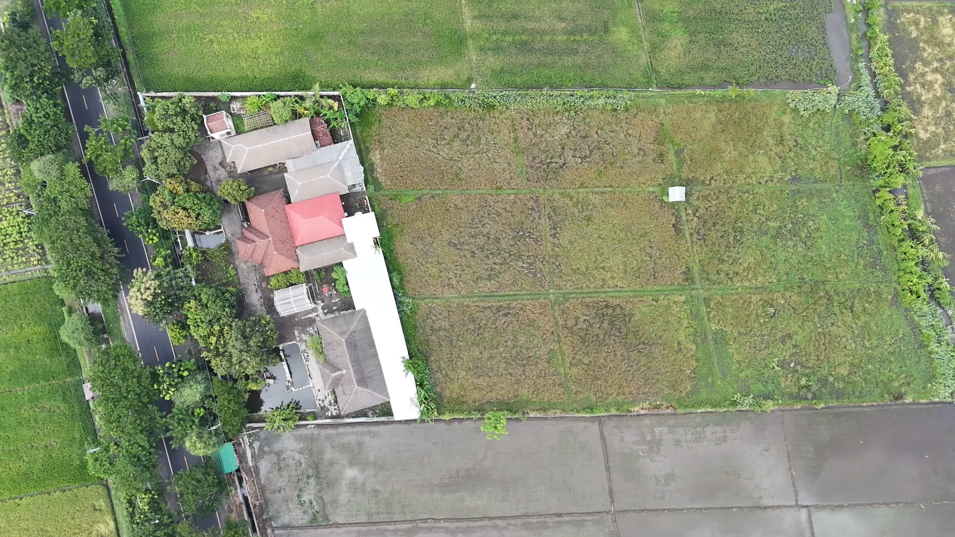 Tanah Sawah BPP Kapongan
