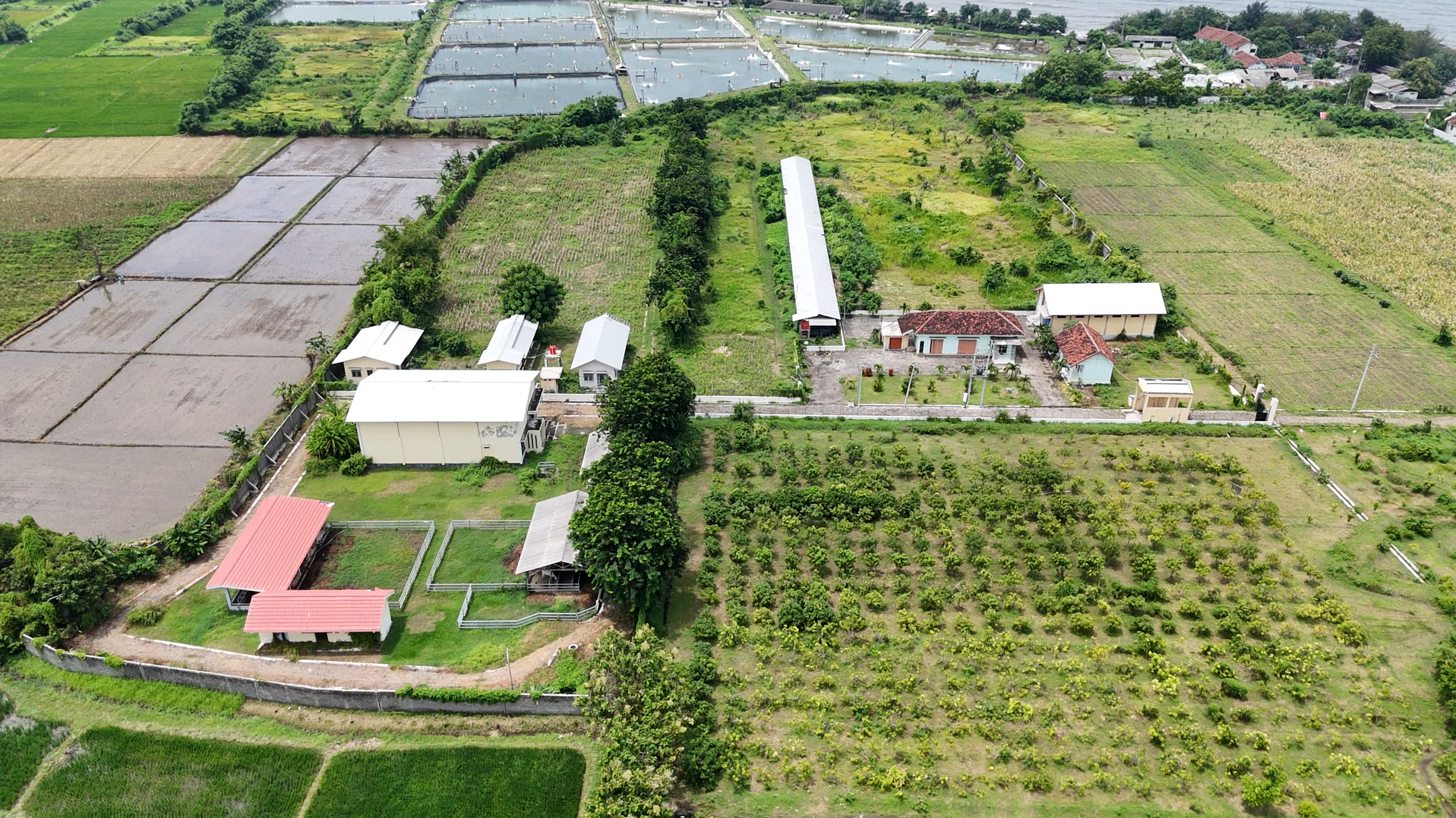 Tanah dan Bangunan Dinas Peternakan